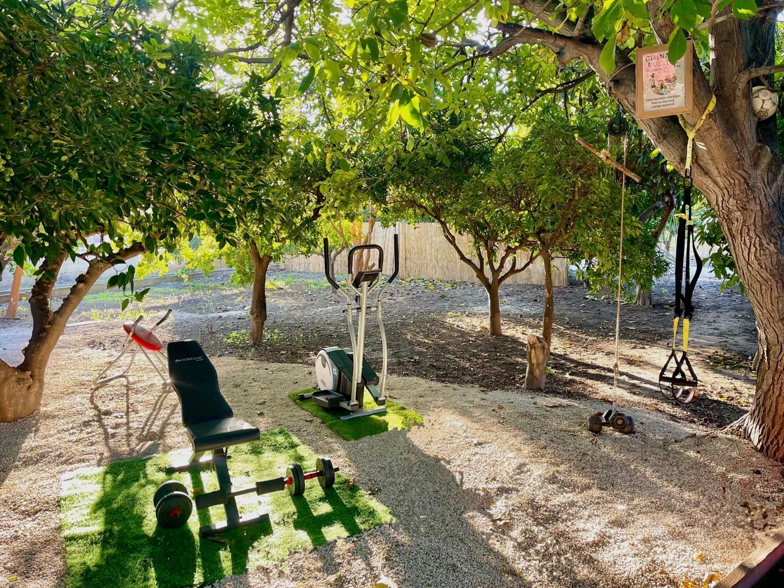 Gimnasio al aire libre en casa con equipos de ejercicio bajo los árboles.