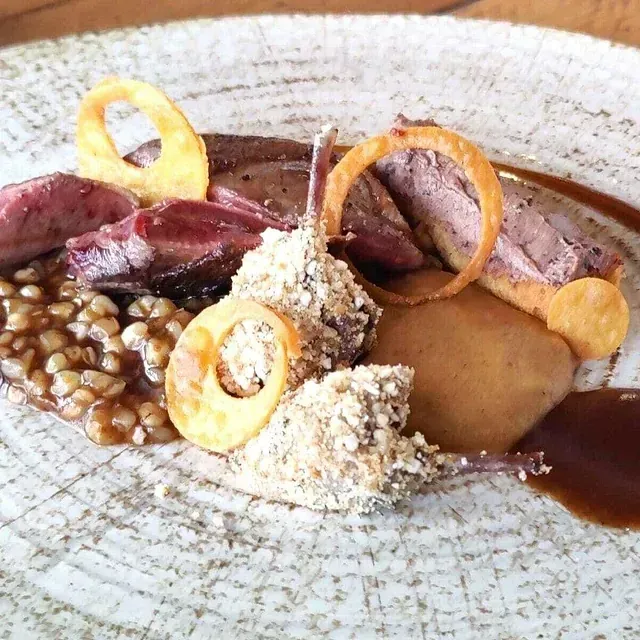 Plato gourmet con pato, cereales, aros fritos y salsa rociados sobre un plato de cerámica estampado.