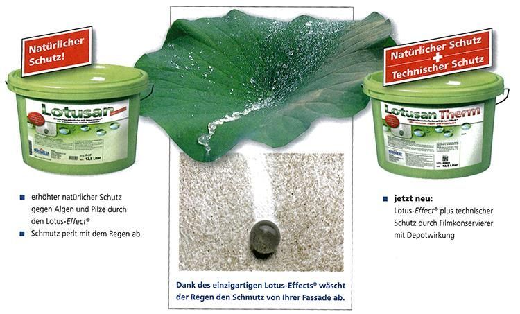 Ein Bild von einem Eimer mit dem Wort Lotus darauf