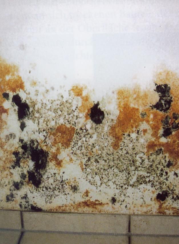 Eine Wand mit vielen braunen Flecken