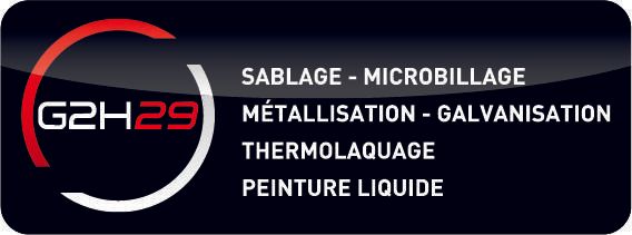 LOGO G2H29 QUADRI.jpg