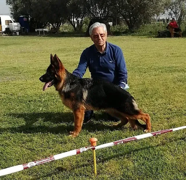Un hombre arrodillado junto a un perro pastor alemán