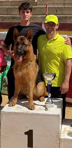 Un perro pastor alemán está sentado en un podio con dos hombres.
