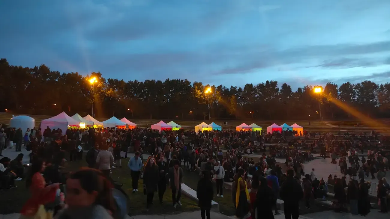 Una multitud de personas se reúne en un parque por la noche.