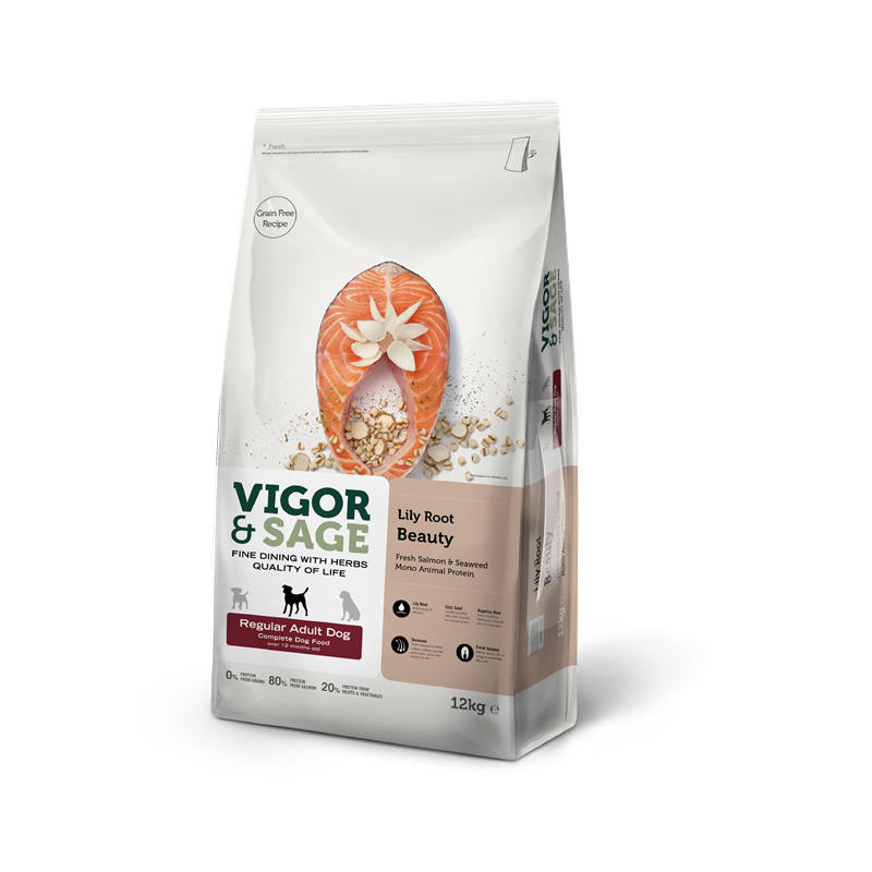 Lily Root Beauty Regular Adult