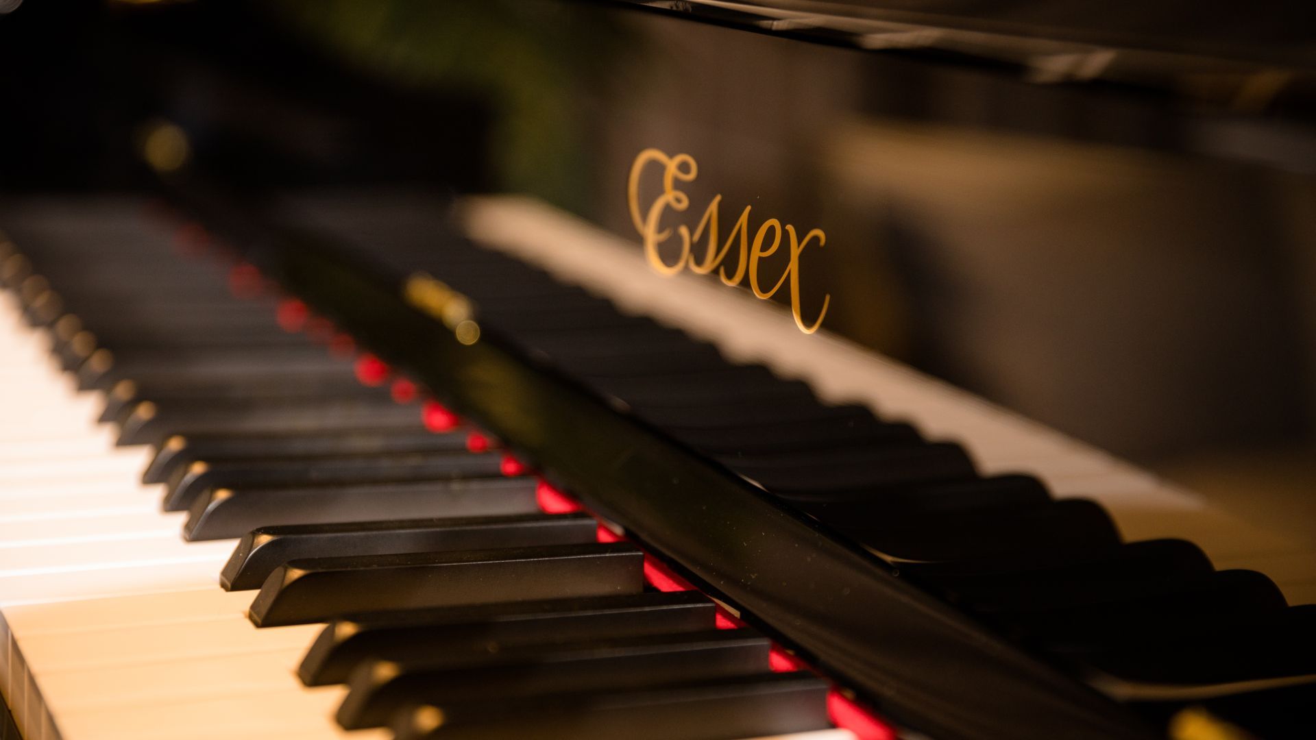 Detailaufnahme eines Essex-Klaviers bei Piano Metz by DAUM – Klaviatur und Logo im Fokus