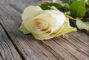 Hautaustoimisto Mikkola