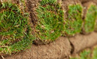 GalaBau Schingen GmbH