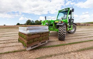 GalaBau Schingen GmbH