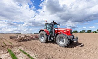 GalaBau Schingen GmbH