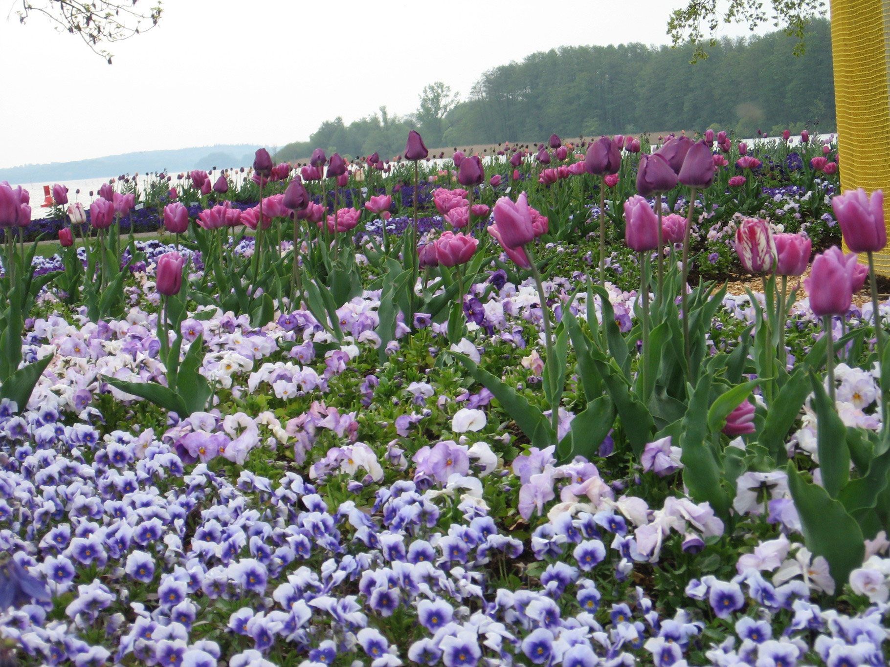 GalaBau Schingen GmbH