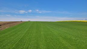 GalaBau Schingen GmbH