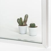 Dos pequeños cactus en maceta sobre una superficie blanca, dentro de un marco blanco.