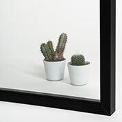 Dos cactus en macetas blancas sobre una superficie blanca, vistos a través de un espejo con marco negro.