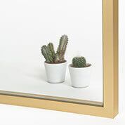 Plantas de cactus en macetas blancas sobre una superficie blanca, vistas a través de un espejo con marco dorado.