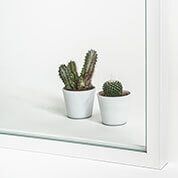 Dos cactus en macetas blancas sobre una superficie blanca, vistos a través de una ventana con marco blanco.