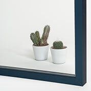 Dos cactus en maceta sobre superficie blanca, enmarcados por un borde azul oscuro.