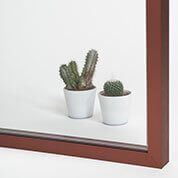 Dos cactus en macetas sobre una superficie blanca, reflejados en un espejo con marco marrón.