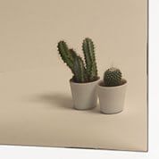 Dos cactus en maceta sobre una superficie beige con fondo neutro.