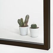 Dos cactus en macetas blancas reflejados en un espejo con marco marrón.