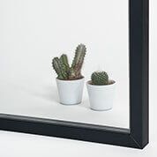 Dos cactus en macetas blancas sobre una superficie blanca, enmarcados por un borde negro.