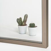 Dos cactus en macetas sobre una superficie blanca, reflejados en un espejo enmarcado.