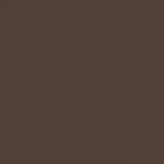 Fondo marrón sólido.
