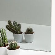 Tres cactus en macetas sobre una superficie blanca, sobre un fondo gris claro.