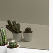 Cactus en macetas blancas sobre una superficie de color claro con un fondo gris.