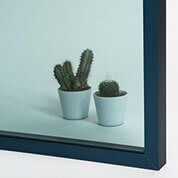 Dos cactus en macetas frente a un fondo azul, reflejados en un espejo enmarcado.
