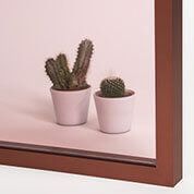 Dos cactus en macetas blancas sobre una superficie de color claro dentro de un borde rectangular enmarcado en marrón.