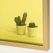 Dos cactus en macetas amarillas sobre una superficie amarilla, enmarcados en oro.