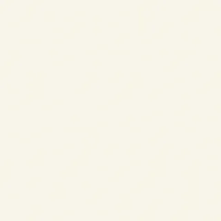 Fondo sólido de color blanquecino.