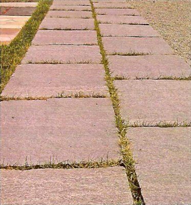 Camino de piedra con hierba creciendo entre las losas rectangulares, en un entorno al aire libre.
