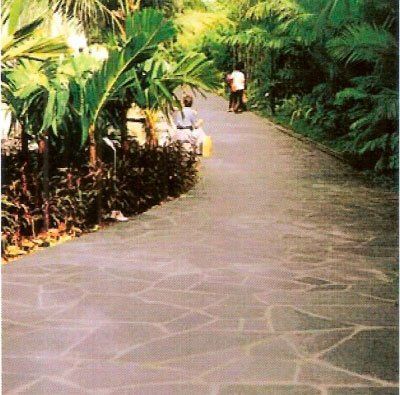 Un sendero a través de un exuberante jardín con dos personas paseando. Un sendero pavimentado con árboles y arbustos a ambos lados.