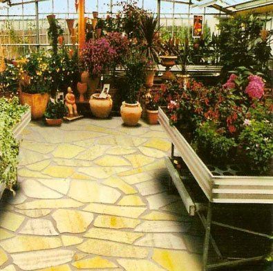 Interior de invernadero con plantas y suelo de losas amarillas.
