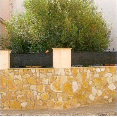 Muro de piedra rematado con una valla negra, en el que destaca un gran arbusto frondoso de color verde.