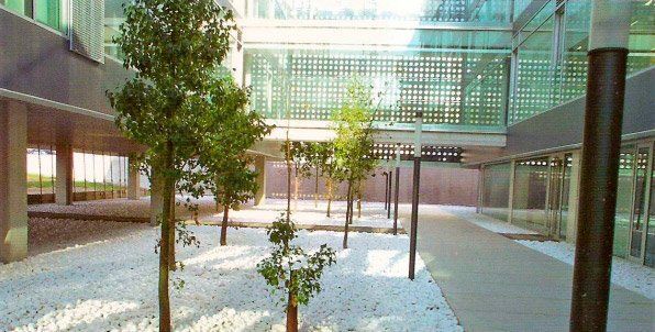 Patio interior con arboles, piedras blancas y edificio moderno con vidrio y metal.
