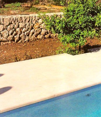 Escena junto a la piscina con muro de piedra y un pequeño árbol.