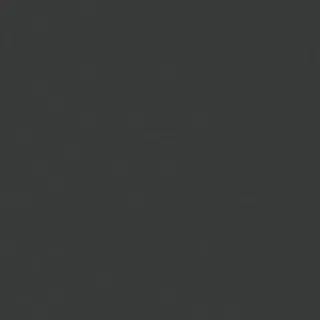 Fondo gris oscuro sólido.