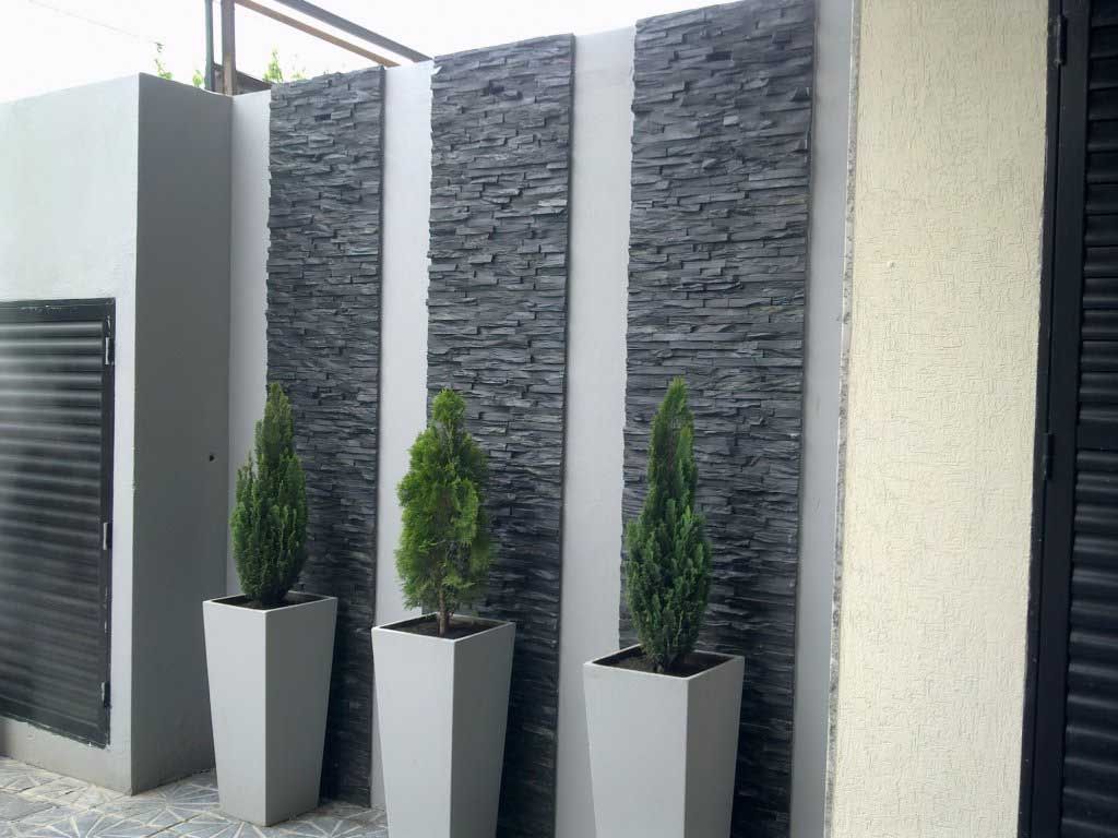 Tres plantas de hoja perenne en macetas cuadradas grises contra una pared de piedra y estuco.