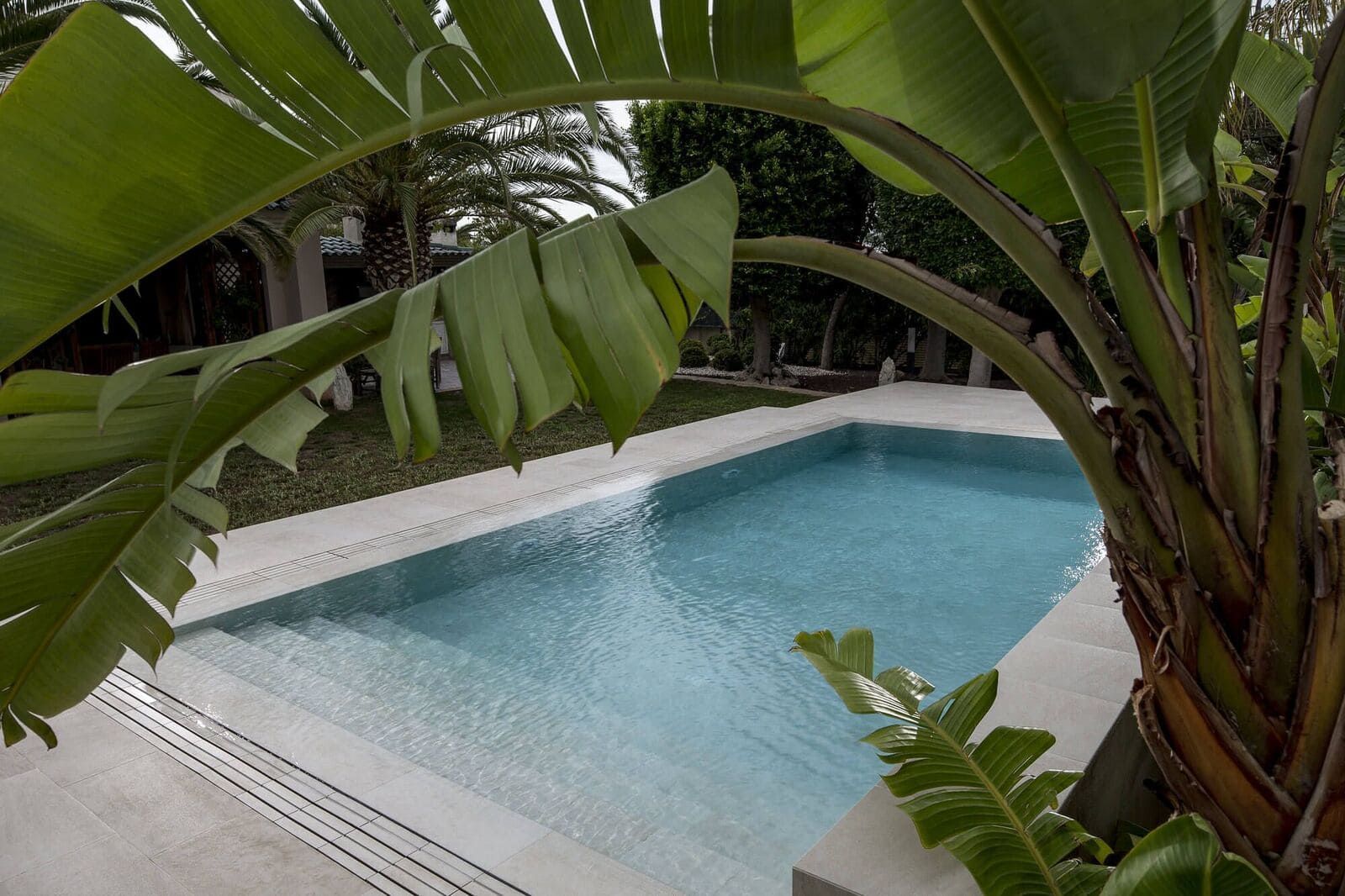 Una piscina rectangular de agua clara, enmarcada por grandes hojas verdes.