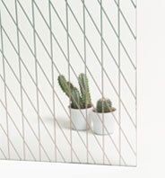 Dos cactus en maceta tras un cristal con una cuadrícula diagonal gris. Fondo blanco.