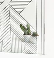 Arte de pared geométrico con dos cactus en macetas sobre un fondo blanco.