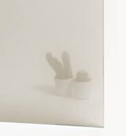 Dos cactus en macetas sobre una superficie blanca, con un fondo claro y brumoso.