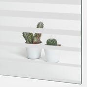 Dos cactus en macetas en un estante blanco detrás de persianas horizontales blancas.