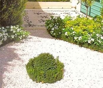 Camino de grava blanca en el jardín, rodeado de arbustos verdes, flores blancas y diseño de mosaicos.