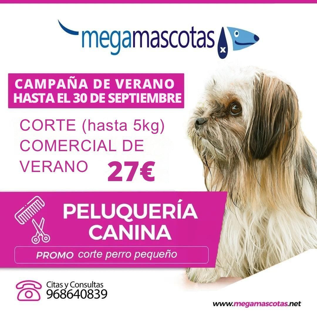 Anuncio promocional de peluquería canina con perro peludo, banner rosa de rebajas de verano y oferta de recorte comercial de 27€.