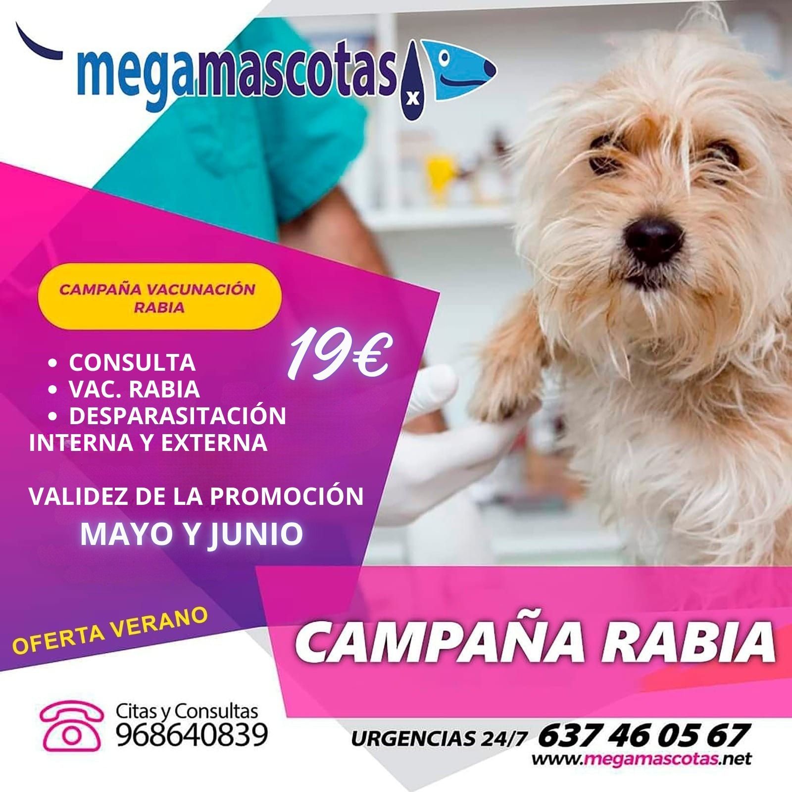Anuncio veterinario promocional de la vacuna contra la rabia, con un perro pequeño, diseño en rosa y azul, y un precio de 19 €.