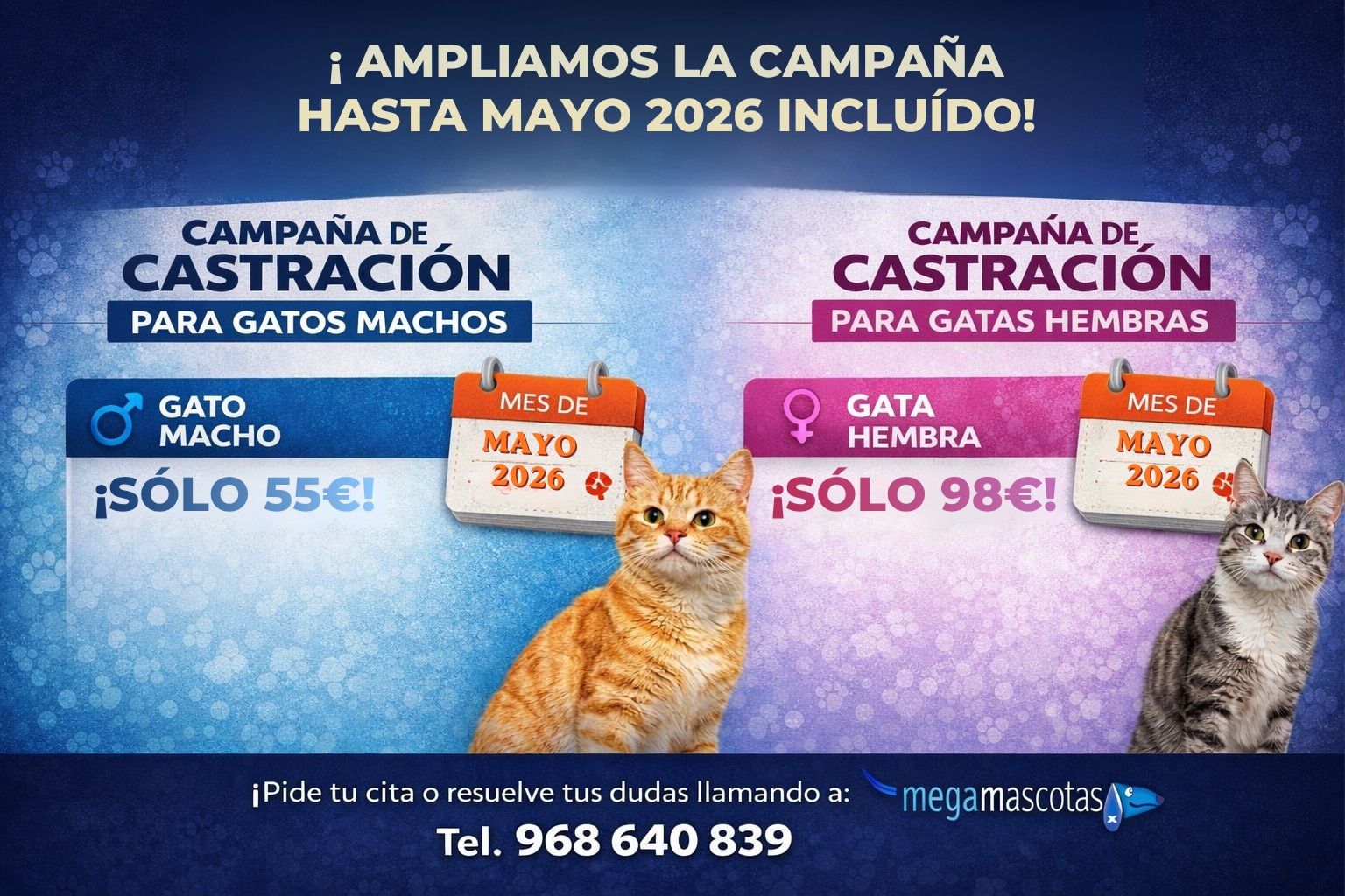 Promoción azul de castración para gatos macho y hembra, con dos gatos y precios especiales.